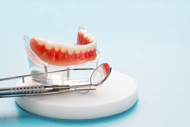 Best Dental Exams and Cleanings  in Old Bethpage, NY